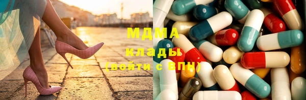 ECSTASY Богданович