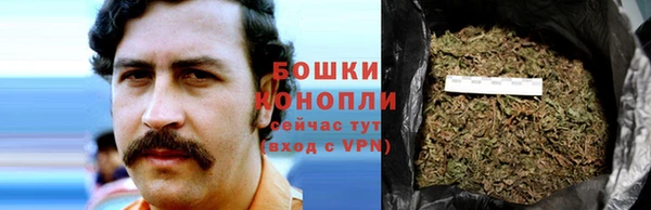 ECSTASY Богданович