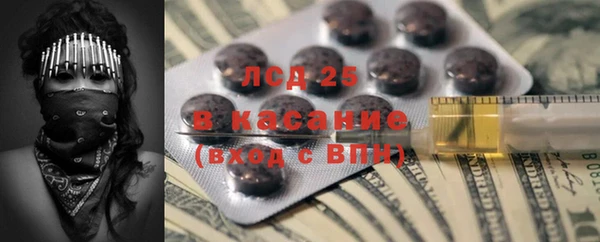 ECSTASY Богданович