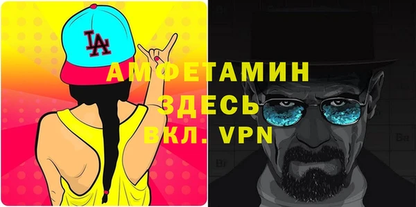 ECSTASY Богданович