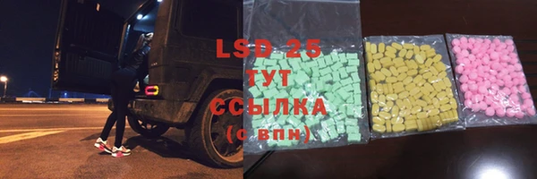 ECSTASY Богданович