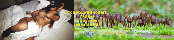мяу мяу кристалл Богородицк