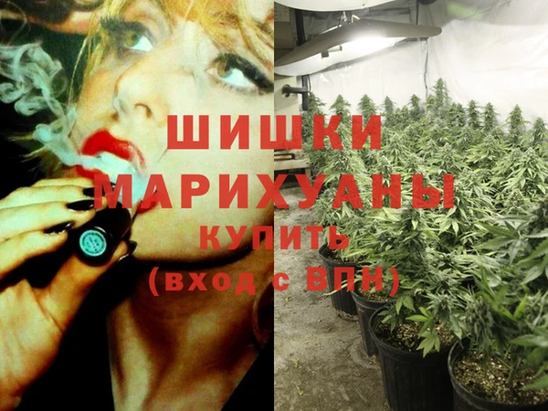 ECSTASY Богданович