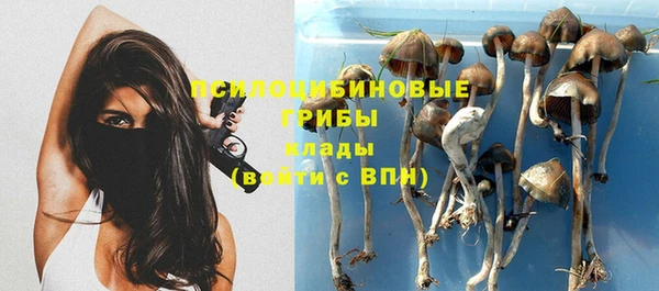 ECSTASY Богданович