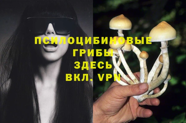 мяу мяу кристалл Богородицк